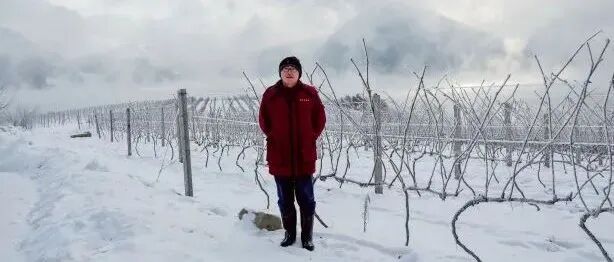 中国农业大学研究员兰义宾：在葡萄酒科研领域践行 “顶天立地”