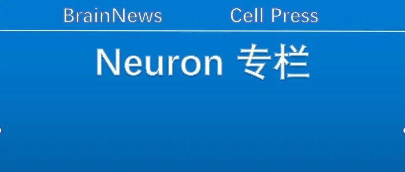 Neuron：复旦脑科学研究院韩清见团队揭示经皮神经电刺激镇痛的神经环路机制
