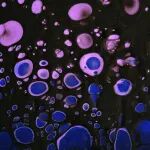 Adv Sci | 中科大刘扬中、东南大学程珺洁：多价PD-L1纳米抗体-铁蛋白增强肿瘤免疫治疗