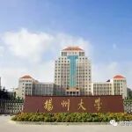 AM | MOF衍生碳上的杂原子调制不对称钴单原子催化剂，实现耐用的锌碘电池