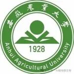 Adv Sci | 所有生物质纳米复合薄膜，通过简单和可持续的设计程序进行热管理和电磁干扰屏蔽