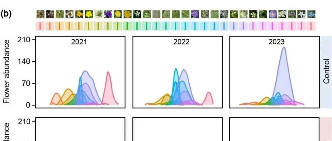 New Phytologist | 兰州大学 气候变暖下植物开花物候差异及生态影响