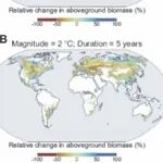 PNAS | 西北农林科技大学秦晓梁教授课题组在气候变暖对全球不同生态系统植物生物量固存方面取得重要进展