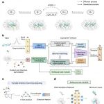 Nat Comput Sci｜四川大学李国菠教授团队：药效团导向的3D分子生成方法
