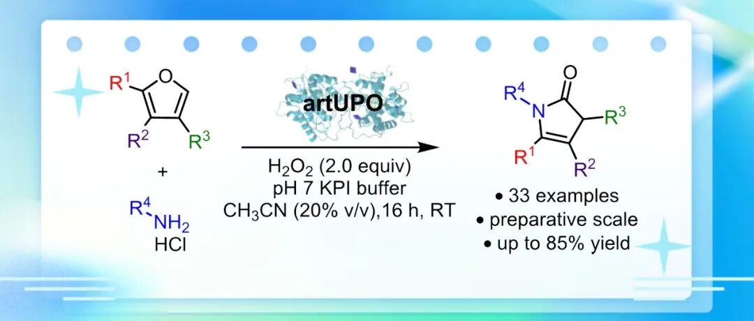 【ACS Catal】英国约克大学：首例artUPO酶生物催化合成4-吡咯啉-2-酮