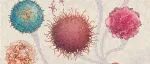 《自然-生物技术》编辑对话实录：基础模型与生物技术前沿应用