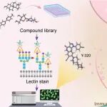 Acs Cent Sci | 中科院上海有机化学研究所俞飚院士团队合作在发展高效唾液酸化抑制剂激活肿瘤免疫方向取得进展