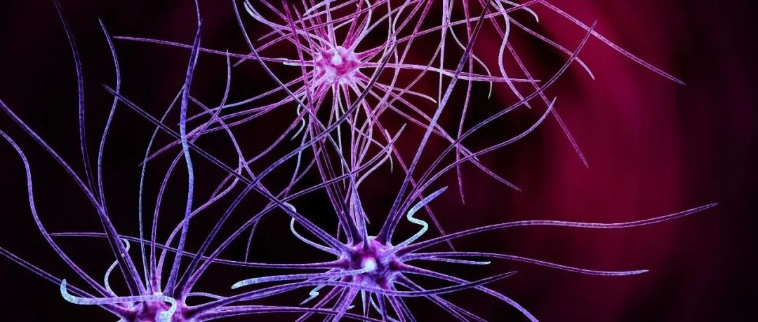 人工智能赋能终端设备驱动的神经系统疾病全病程闭环管理