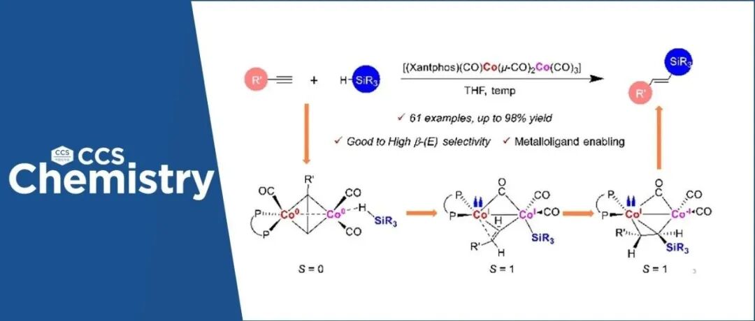 【CCS Chem.】金属配体助力钴催化剂实现三级硅烷对炔烃的选择性加成