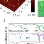 Bioact  Mater丨邓幼文/陈世杰研究表明线粒体靶向MXene@MnO2-TPP肖特基异质结构可实现骨肉瘤协同治疗