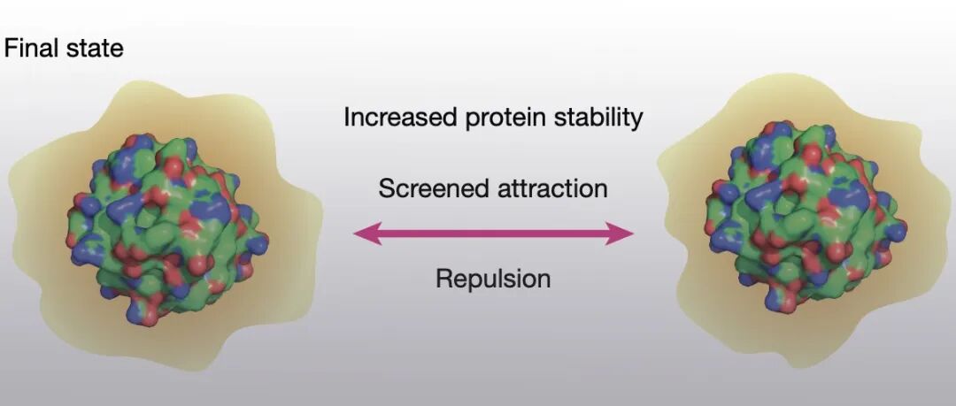 Nature: 揭示氨基酸的“隐形之手” - EPFL、MIT、南科大（罗智教授）
