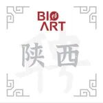 西安交大一附院诚邀全球英才依托申报“海外优青”（新增批次）