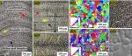 中国科学院大学《Acta Materialia》通过增材制造在高熵合金中实现卓越的强度-延展性协同作用