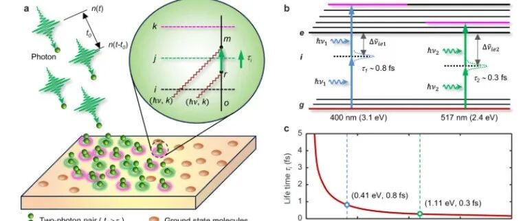 Nature communication 光学纳米印刷中少光子辐照下的双光子吸收