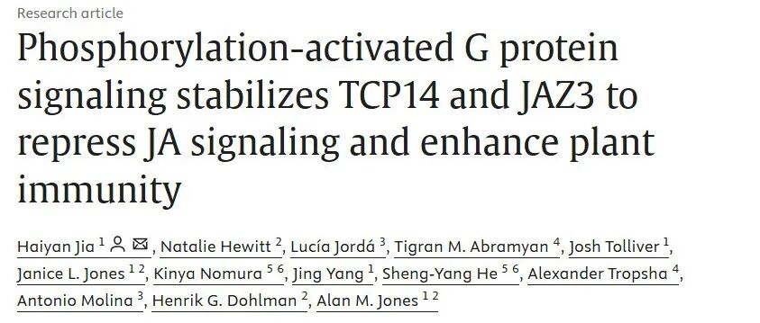 文献分享|  磷酸化激活的 G 蛋白信号传导稳定 TCP14 和 JAZ3，抑制 JA 信号传导，增强植物免疫力