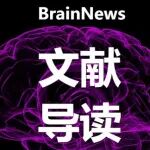 SCLS综述｜潘秉兴/岳伟华/周其冈/张文华联合深度解读焦虑障碍与抑郁症：从发病机制到临床治疗的新进展
