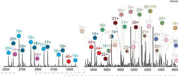 Mol Cell Proteomics | 体外和生理膜蛋白复合物的非变性top-down质谱分析