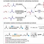 南京师范大学陈良安课题组22级本科生关雨昕以第一作者在ACS Catalysis发表重要研究成果