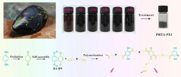 文献速递｜山理工&黄渤海实验室SPT：PEI强化PHTA树脂的简易合成与Cr(VI)高效去除