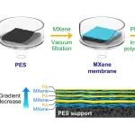 西安工大张红梨/西工程大杨杰Desalination：构建MXene/PA-n层厚度梯度结构纳滤膜-实现染料及抗生素废水高效净化