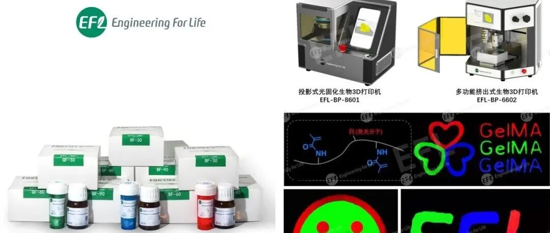 如何荧光标记水凝胶？