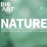 Nature&#160;| 在细胞表面实现可编程的蛋白连接