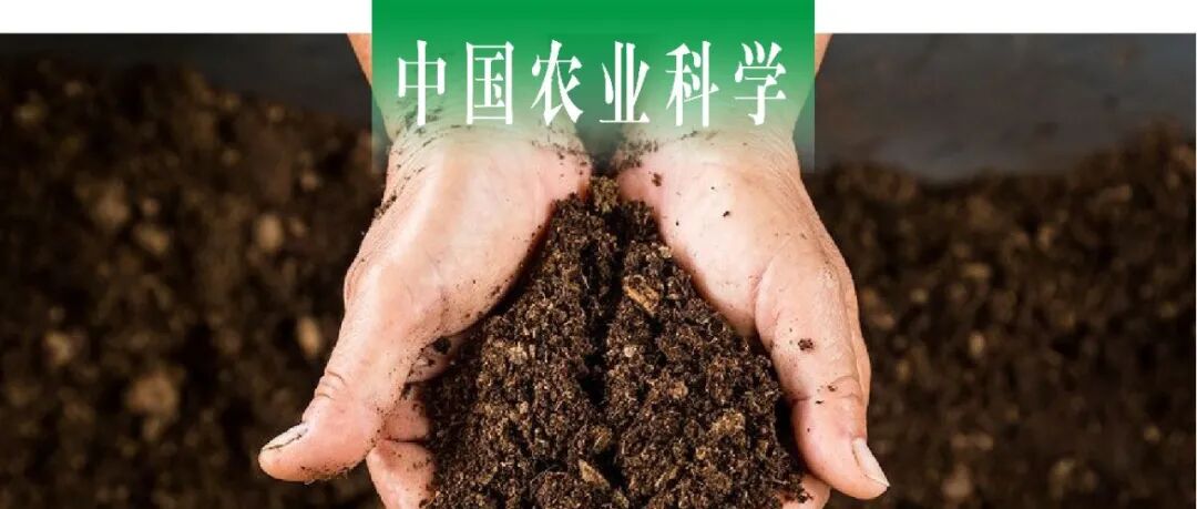 中国农业科学｜中科院南京土壤所张佳宝院士团队探析秸秆还田配施化肥对土壤生态系统多功能性的影响