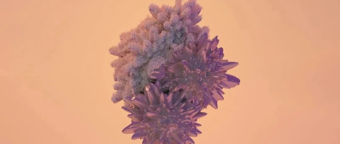 Advanced Genetics｜深入探索肿瘤表观遗传修饰和免疫代谢的“互动网络”