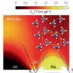 拉廷格液体 | Nature Reviews Physics