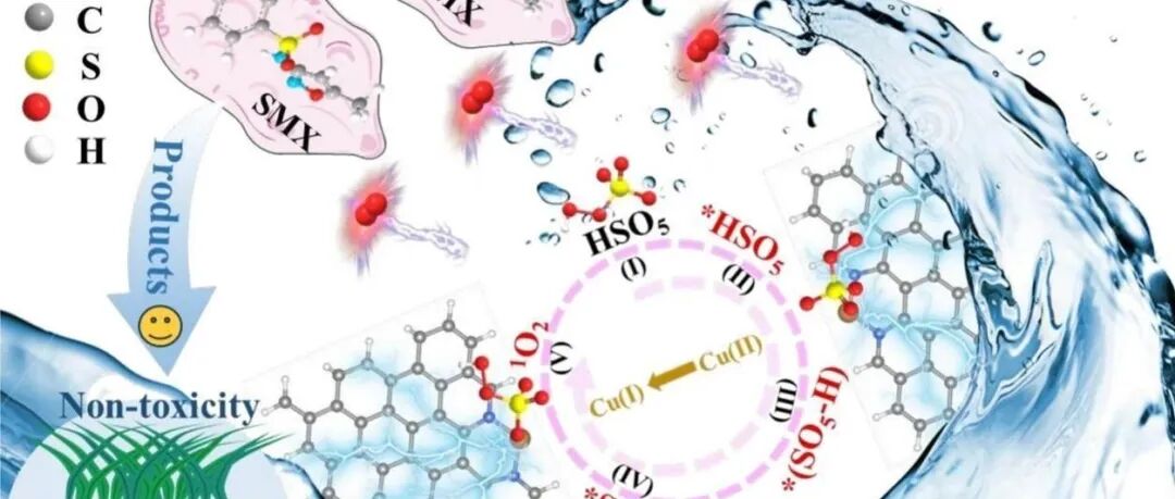 文献速递|青岛科技大学JCIS:原子尺度机理解析单线态氧主导氧化过程：揭示Cu-N2活性位点在选择性污染物降解中的关键作用