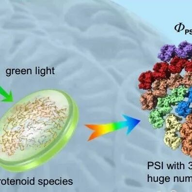 中国科学院植物研究所最新Science