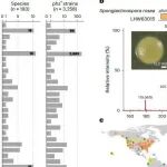 Nat Microbiol丨浙江大学陈云团队揭示生防细菌种间互作新机制
