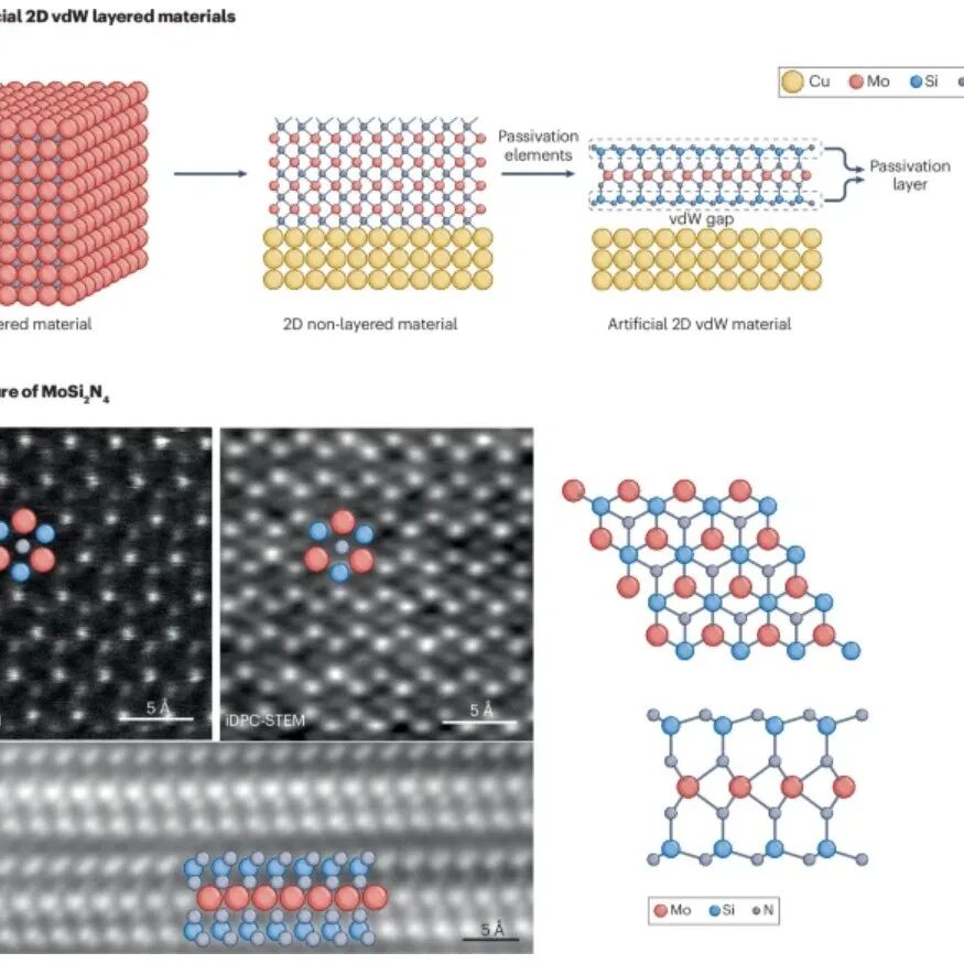 研究前沿：中国科学院金属所 任文才，二维材料MoSi2N4  | Nature Reviews Materials
