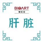 J Hepatol丨黄金狮/杨深/张立/王久存团队揭示S1P/S1PR4信号轴驱动CD8&#8314; TRM细胞分化加剧胆道闭锁胆管损伤