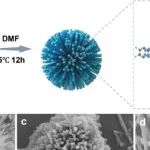 Adv Sci | 扬州大学庞欢/朱荣妹研究发现用于高性能锂硫电池的共轭MOF改性隔膜中的协同Ni-Co金属节点