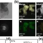 Bioact Mater丨上海交通大学欧阳丽萍等人研究发现KNC纳米酶通过抑制ALOX12介导的脂质过氧化修复缺氧缺血性脑损伤