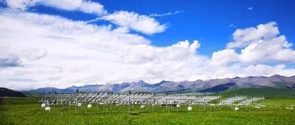 Functional Ecology：贺金生团队，揭示高寒草甸不同功能群对非对称性增温的特异性响应