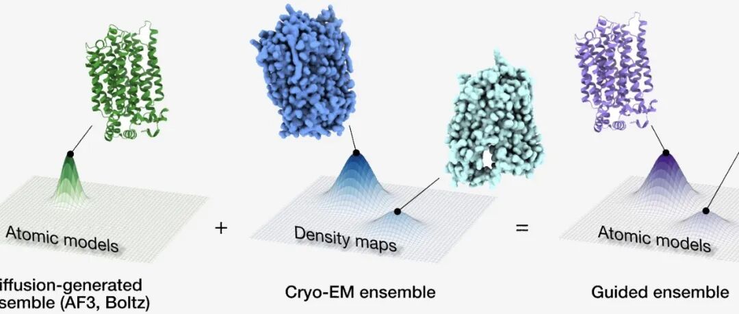 arXiv｜融合结构预测与cryo-EM密度约束的模型CryoBoltz