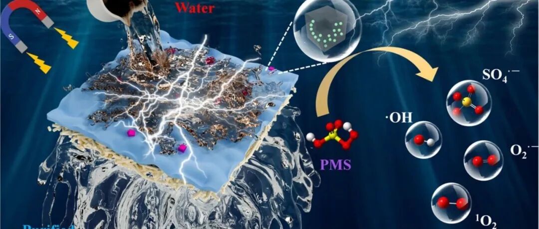 文献速递|浙江师范大学WR:一种新型磁诱导Co@NC修饰电化学膜实现PMS的连续活化：揭示机理并展现应用潜力，实现超快速且经济