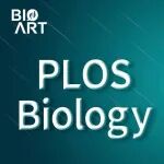 PLOS Biology |&#160;王纲团队发现转录中介体MED23亚基调控抗病毒天然免疫应答的功能与机制