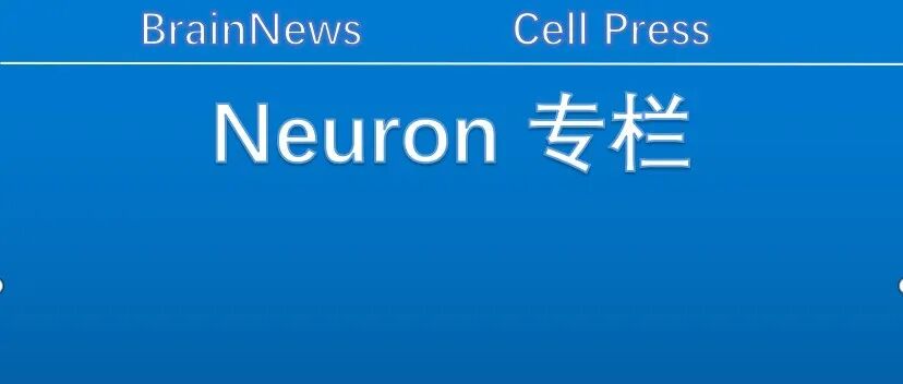 Neuron：北京大学孙琳琳团队揭示药物成瘾者“惺惺相惜”的神经机制，为成瘾治疗开辟新路径