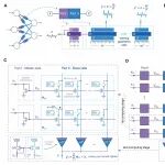 研究前沿：南京大学缪峰/梁世军团队，模拟存内计算芯片 | Science Advances