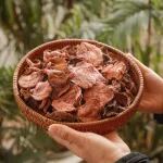 《食品科学》：云南省农业科学院何代琴助理研究员、马菲菲助理研究员等：不同冷冻方式对美味牛肝菌品质特性的影响