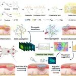 Nano Lett：比率荧光传感肽水凝胶可实现机器学习辅助的实时炎症监测和糖尿病伤口优化治疗