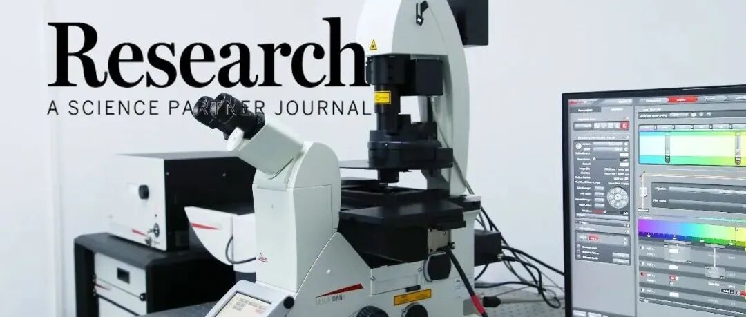 Research|新一代超声“显微镜”！南京大学团队研发速度约束与运动补偿结合的超快超声定位显微新技术，突破“分辨率极限”