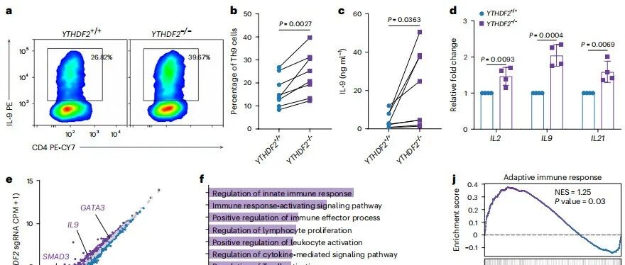 Nat Immunol | YTHDF2缺失增强Th9编程及CAR-Th9细胞抗肿瘤功效