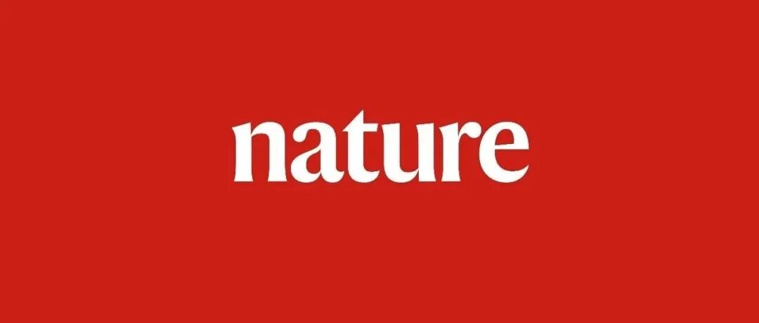 钙钛矿探测器，Nature、Light、AM重磅进展！