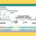 【JACS】上海交大王平课题组：基于光催化 C–X 键断裂的多肽合成方法学革新