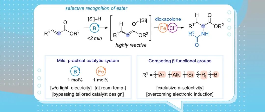 【JACS】Sukbok Chang团队：Lewis酸/铁接力催化促进α,β-不饱和酯的区域选择性氢酰胺化反应