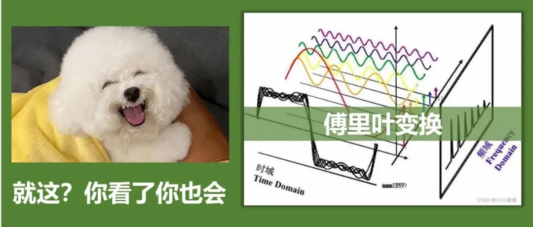 我家狗子引发的一场“惨案”，竟讲清楚了傅里叶变换……